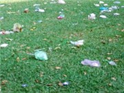 Bóng đá anh, ngoại hạng anh, lịch thi đấu euro 2012, Lòng tự trọng