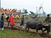 Bóng đá anh, ngoại hạng anh, lịch thi đấu euro 2012, Chủ tịch nước Trương Tấn Sang dự lễ hội Tịch điền