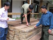 Bóng đá anh, ngoại hạng anh, lịch thi đấu euro 2012, Truy quét các tụ điểm khai thác lâm sản trái phép