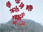 Hướng tới "trung tâm thi ca" của thế giới