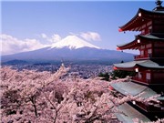 Bóng đá anh, ngoại hạng anh, lịch thi đấu euro 2012, Ngắm anh đào, chơi lễ hội Hanami