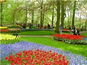 Bóng đá anh, ngoại hạng anh, lịch thi đấu euro 2012, Chọn tour Du lịch hoa