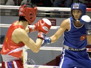 Bóng đá anh, ngoại hạng anh, lịch thi đấu euro 2012, Được bổ sung kinh phí, quyền anh VN thêm tự tin cho vòng loại Olympic
