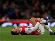 Bóng đá anh, ngoại hạng anh, lịch thi đấu euro 2012, Cuối cùng, Wilshere cũng hẹn ngày trở lại