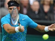 Bóng đá anh, ngoại hạng anh, lịch thi đấu euro 2012, Berdych, Del Potro theo chân Federer vào tứ kết Rotterdam Open