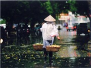 Bóng đá anh, ngoại hạng anh, lịch thi đấu euro 2012, Chuyện vỉa hè: Vỉa hè là của nhân dân…