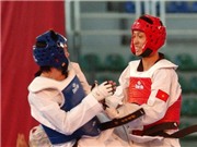 Bóng đá anh, ngoại hạng anh, lịch thi đấu euro 2012, Taekwondo VN tham dự giải Đức mở rộng