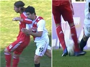 Bóng đá anh, ngoại hạng anh, lịch thi đấu euro 2012, Bại tướng của Mourinho chỉ trích trọng tài