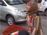 Bóng đá anh, ngoại hạng anh, lịch thi đấu euro 2012, Miền Bắc sắp nắng ráo ít ngày