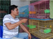 Bóng đá anh, ngoại hạng anh, lịch thi đấu euro 2012, “Dị nhân” câm điếc “hiểu” được tiếng chim