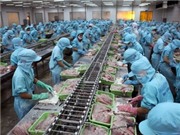 Bóng đá anh, ngoại hạng anh, lịch thi đấu euro 2012, Thủy sản Bình An đã trả 3 tỷ đồng nợ lương tháng 2