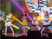 Bóng đá anh, ngoại hạng anh, lịch thi đấu euro 2012, Vietnam Korea Festival thành công rực rỡ về khán giả và "phe vé"