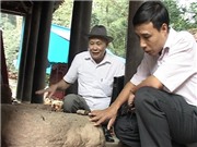 Bóng đá anh, ngoại hạng anh, lịch thi đấu euro 2012, “Lưỡng thạch trụ” ở đền Hùng là đá thề?