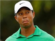 Bóng đá anh, ngoại hạng anh, lịch thi đấu euro 2012, Tiger Woods là kẻ "thô lỗ, rẻ tiền, dối trá"