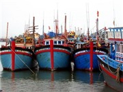 Bóng đá anh, ngoại hạng anh, lịch thi đấu euro 2012, Khẩn trương triển khai phương án phòng chống bão
