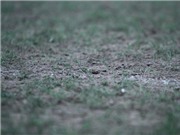 Bóng đá anh, ngoại hạng anh, lịch thi đấu euro 2012, Sân Lạch Tray: Trên là chảo lửa, dưới là mặt ruộng