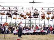 Bóng đá anh, ngoại hạng anh, lịch thi đấu euro 2012, Lần đầu tiên nữ giới vô địch thi... chim