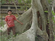 Bóng đá anh, ngoại hạng anh, lịch thi đấu euro 2012, Thực hư chuyện “rắn tu“ ở ngôi chùa nổi tiếng miền Trung