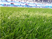 Bóng đá anh, ngoại hạng anh, lịch thi đấu euro 2012, Khi Barca phải thi đấu trên “thảo nguyên” La Romareda