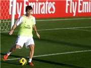 Bóng đá anh, ngoại hạng anh, lịch thi đấu euro 2012, Sự trở lại của Cassano: “Liều doping” của Milan