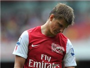 Bóng đá anh, ngoại hạng anh, lịch thi đấu euro 2012, Arshavin không hiểu vì sao bị bỏ rơi
