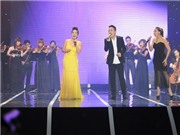 Bóng đá anh, ngoại hạng anh, lịch thi đấu euro 2012, Tùng Dương lần thứ 5 đạt giải “Cống hiến”