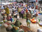 Bóng đá anh, ngoại hạng anh, lịch thi đấu euro 2012, Đi chợ tại Kuala Lumpur - Một thú vui