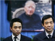 Bóng đá anh, ngoại hạng anh, lịch thi đấu euro 2012, Quý tử họ Bạc lần đầu lên tiếng