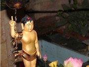 Bóng đá anh, ngoại hạng anh, lịch thi đấu euro 2012, Đấu giá từ thiện mừng Lễ Phật đản