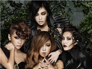 Bóng đá anh, ngoại hạng anh, lịch thi đấu euro 2012, Hòa nhạc miễn phí MTV EXIT sẽ "bùng nổ" ngày 26/5