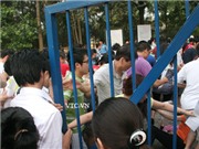 Bóng đá anh, ngoại hạng anh, lịch thi đấu euro 2012, Hình ảnh kinh hoàng mua hồ sơ cho con vào lớp 1