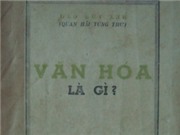 Bóng đá anh, ngoại hạng anh, lịch thi đấu euro 2012, Ai là người có văn hóa?