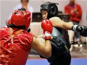 Bóng đá anh, ngoại hạng anh, lịch thi đấu euro 2012, Boxing không có vé dự Olympic