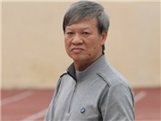 Bóng đá anh, ngoại hạng anh, lịch thi đấu euro 2012, Thế giới HLV ở V-League: Tướng già, tướng trẻ