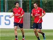 Bóng đá anh, ngoại hạng anh, lịch thi đấu euro 2012, Cựu đội trưởng Arsenal khuyên van Persie ở lại