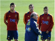 Bóng đá anh, ngoại hạng anh, lịch thi đấu euro 2012, ĐT Tây Ban Nha: Ai sẽ thay Villa?
