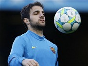 Bóng đá anh, ngoại hạng anh, lịch thi đấu euro 2012, Tây Ban Nha lại mất siêu sao vì chấn thương