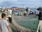 Biển chưa yên, đất liền chưa vơi nước mắt