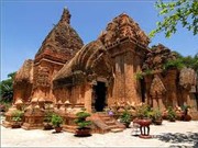 Hãy học nghề “bảo tồn” nhé!